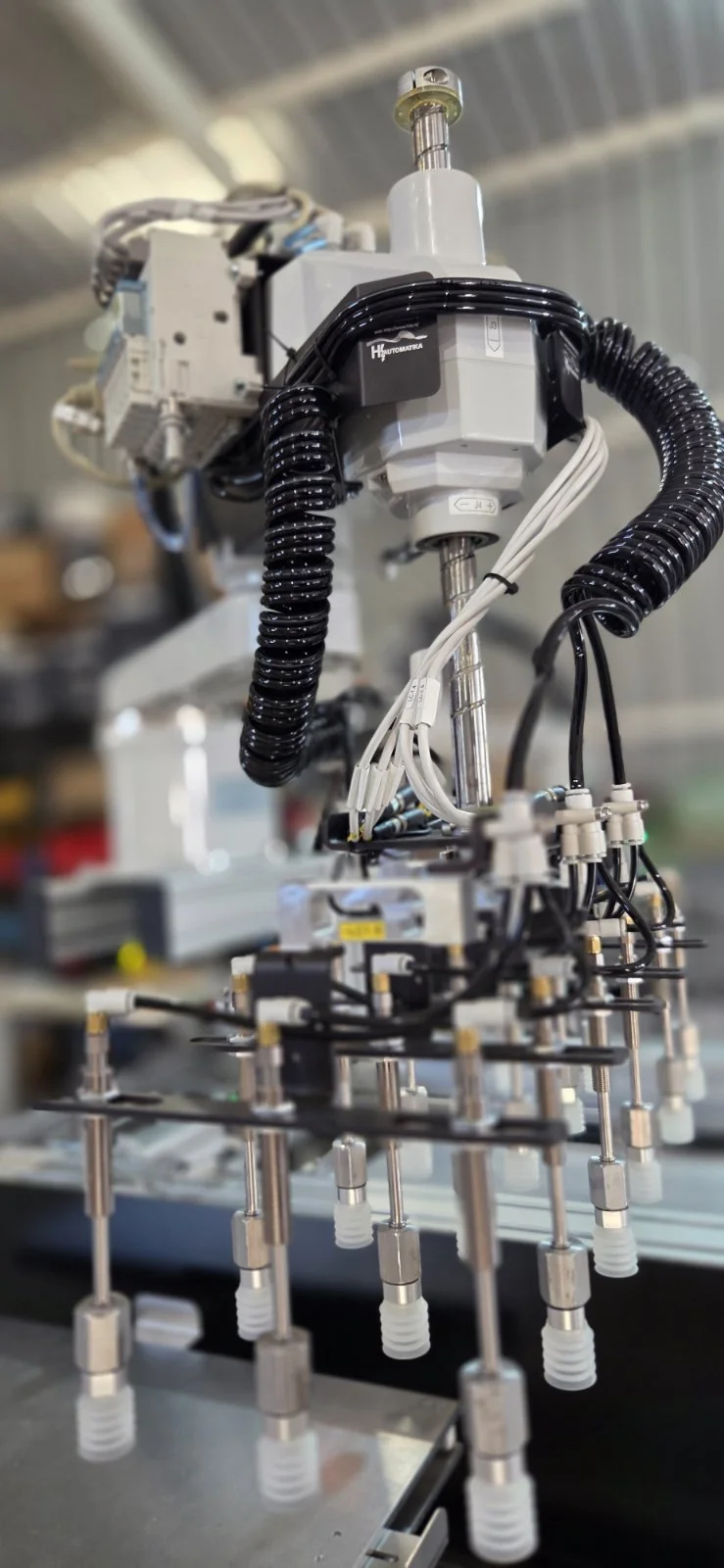 Robotergestütztes Sortieren und Verpacken von Gurken – 3