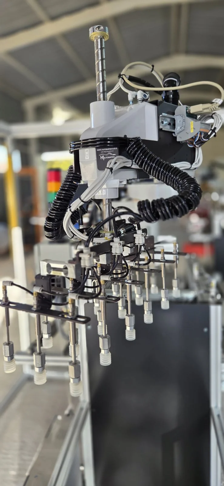 Robotergestütztes Sortieren und Verpacken von Gurken – 4